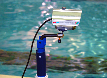 StrokeView underwater cameras